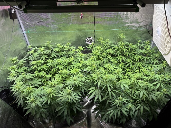 Growreport Bild 57