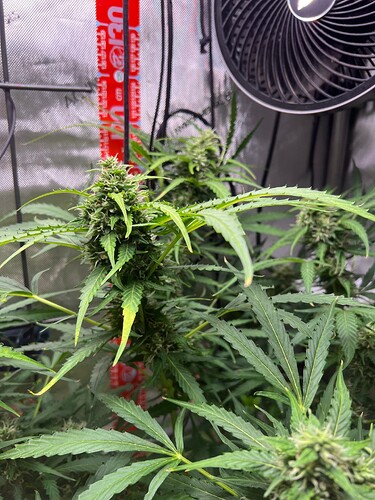 Growreport Bild 9