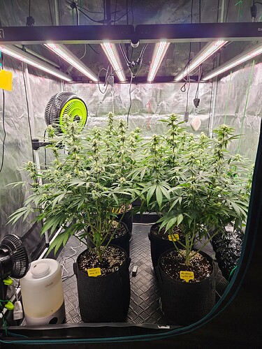 Growreport Bild 11