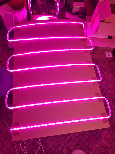Eine LED-Pflanzenlampe, die auf einem Karton befestigt ist und pinkes Licht ausstrahlt.