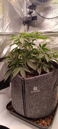 Growreport Bild 2