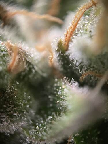 Growreport Bild 26