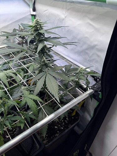 Growreport Bild 11