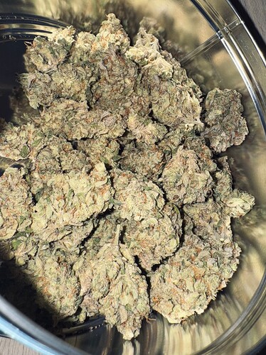Growreport Bild 62