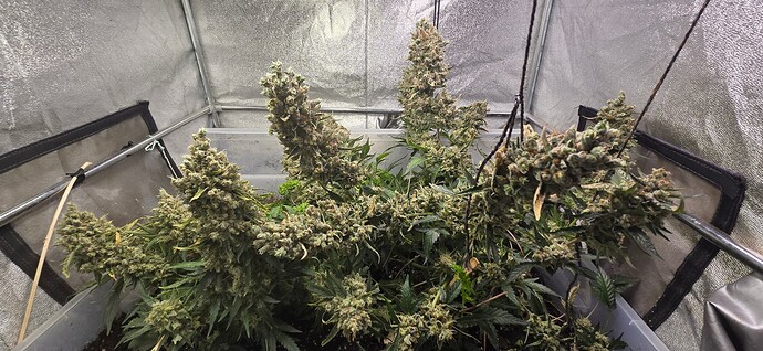 Growreport Bild 10