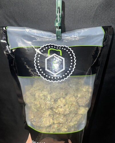 Growreport Bild 10