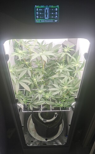 IMG_20240525_214800_edit_184108753147946