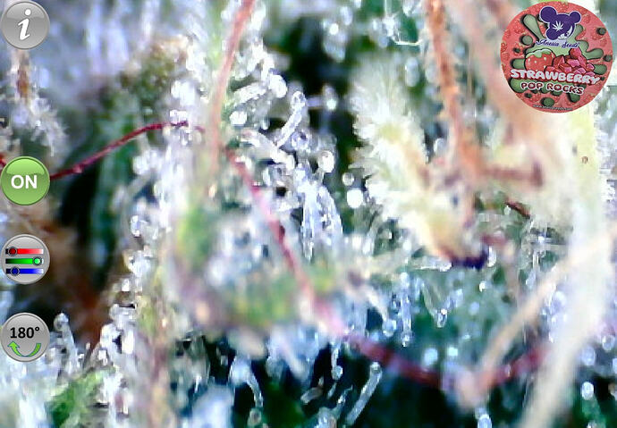 Growreport Bild 22