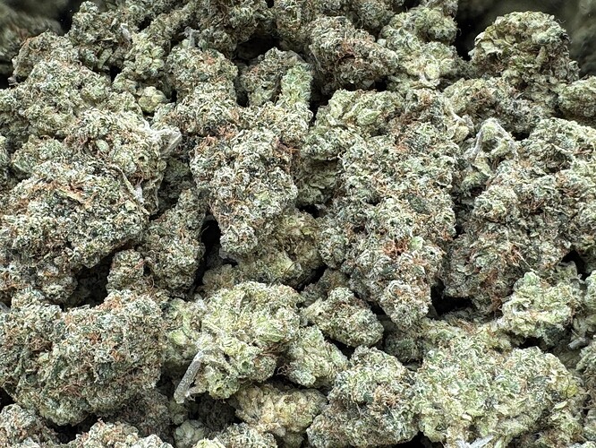 Growreport Bild 68