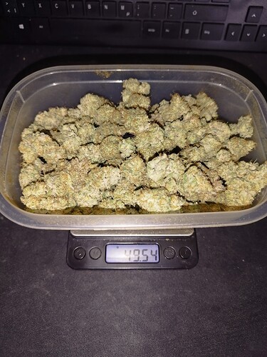 Growreport Bild 6