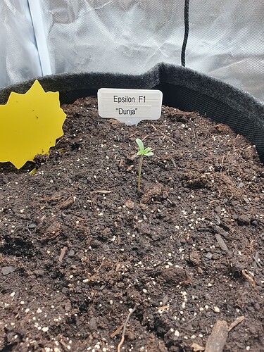 Growreport Bild 5
