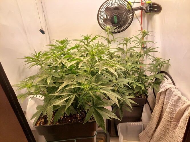 Growreport Bild 3