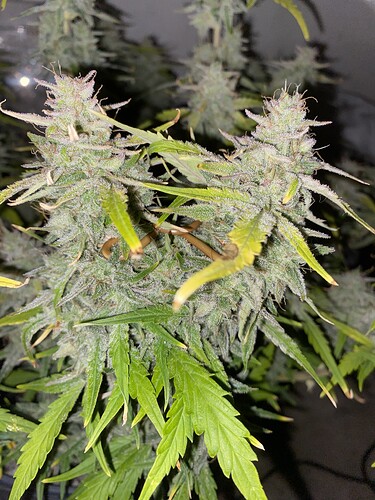Growreport Bild 18