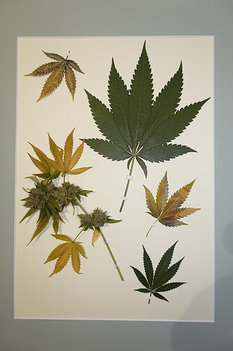 DSC03108