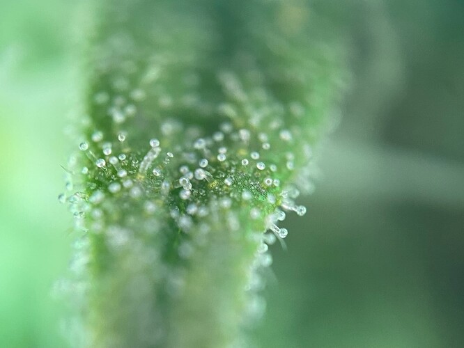 Growreport Bild 14
