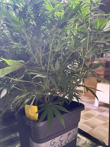 Growreport Bild 16