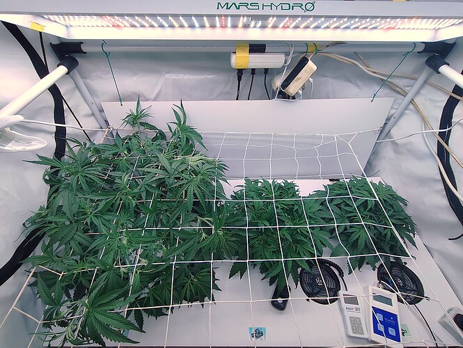 Growreport Bild 6