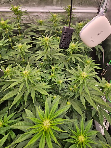 Growreport Bild 25