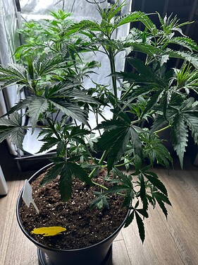 Growreport Bild 16