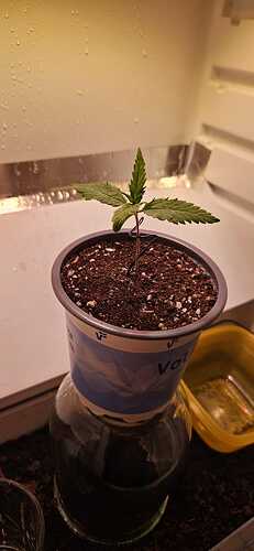 WhatsApp Image 2024-08-04 at 20.34.46