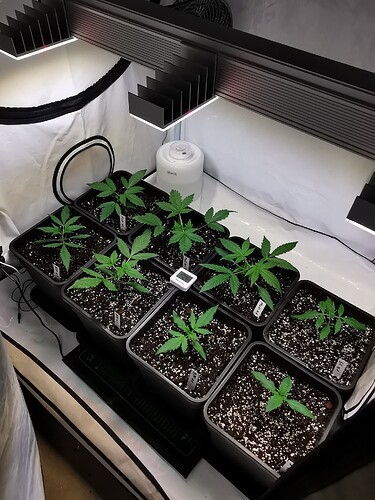 Growreport Bild 14