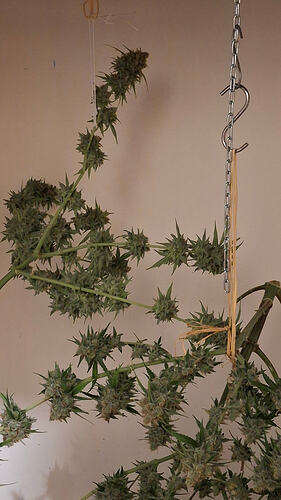 Growreport Bild 7