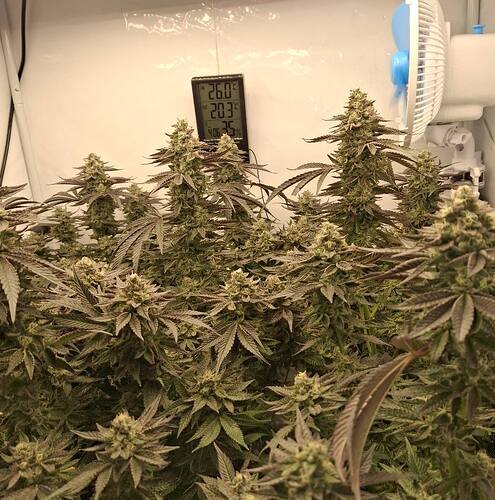 480862127_122169161492293599_826517344865693085_n