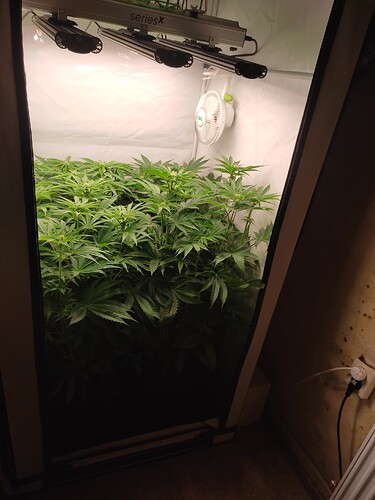 Growreport Bild 18