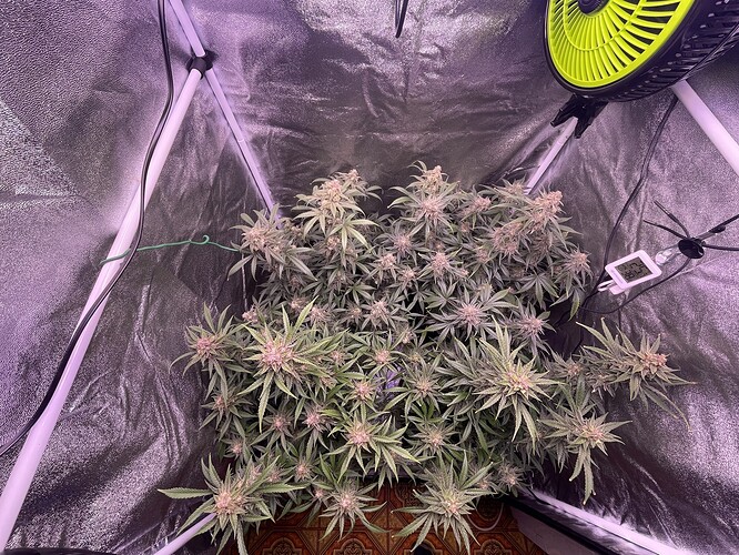Growreport Bild 12