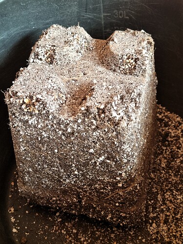 Growreport Bild 18