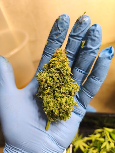 Growreport Bild 10