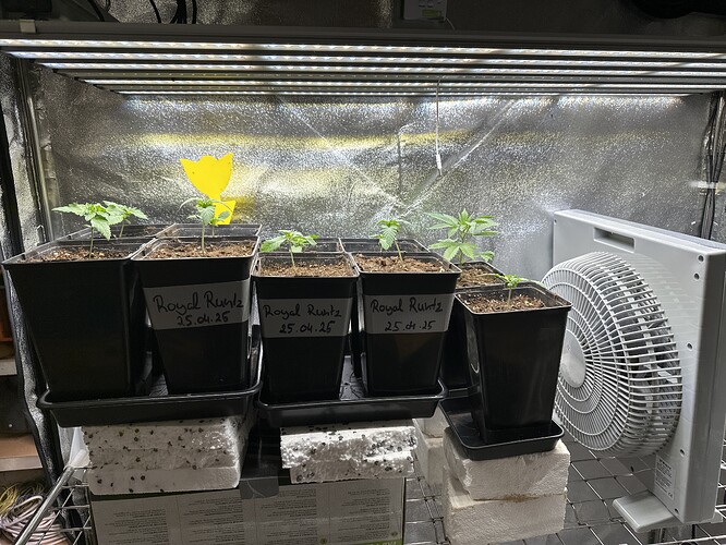 Growreport Bild 8