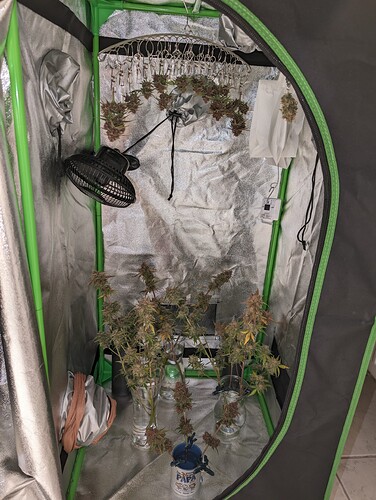Growreport Bild 15