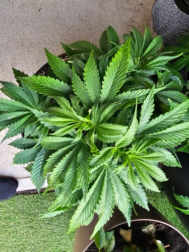 Growreport Bild 10