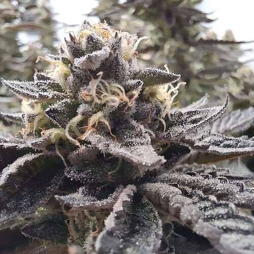 480225669_122169370010293599_2879471514736476057_n