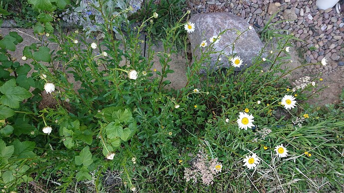 Growreport Bild 4