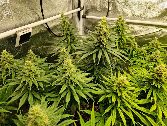 Growreport Bild 10