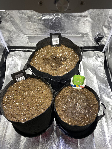 IMG_7389 - Kopie.HEIC