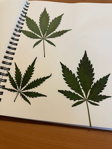 Growreport Bild 2