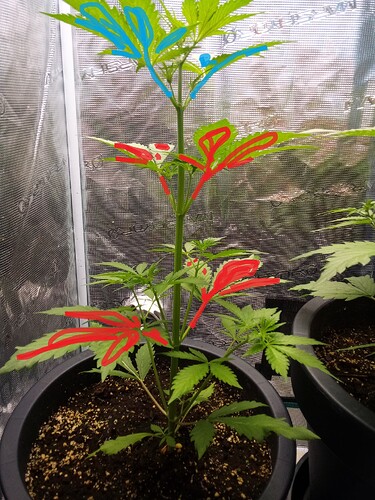 IMG_2025-03-28-12-07-25-523