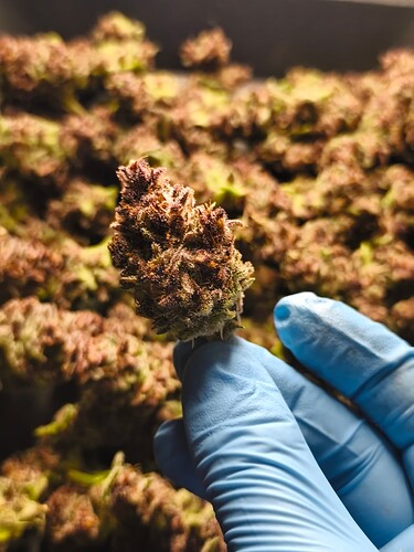 Growreport Bild 3