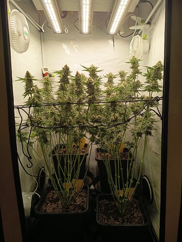 Growreport Bild 26