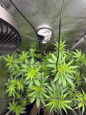 Growreport Bild 20