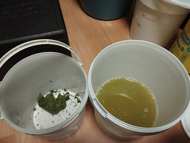 IMG_20241105_210759 - Kopie