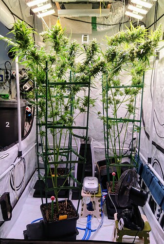 Growreport Bild 17