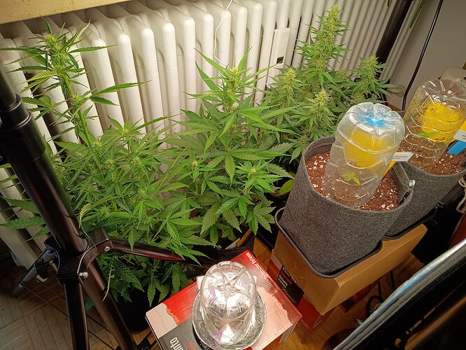 Growreport Bild 26