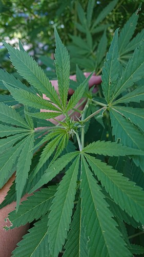 Growreport Bild 10