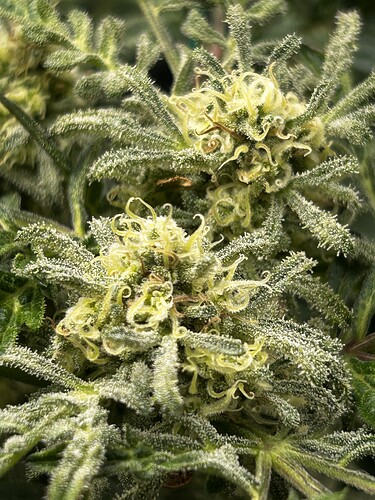 Growreport Bild 22