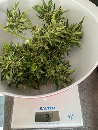Growreport Bild 16