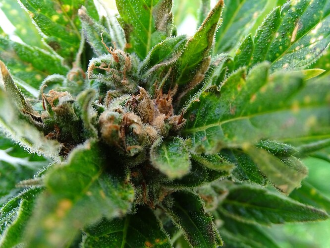 Growreport Bild 20